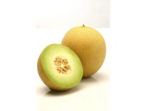 Pepene galben - RACHEL F1 Semințe de pepene galben 500 SEM