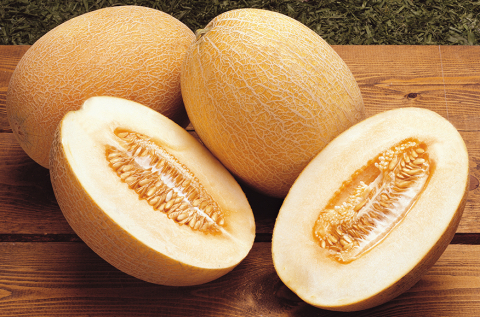 Pepene galben - Rebeca F1 (500 seminte) de pepene galben timpuriu cu miez portocaliu tip ananas,