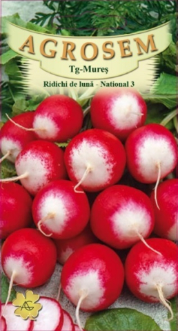 Ridichi - Ridichi de lună - National 3 - 4g