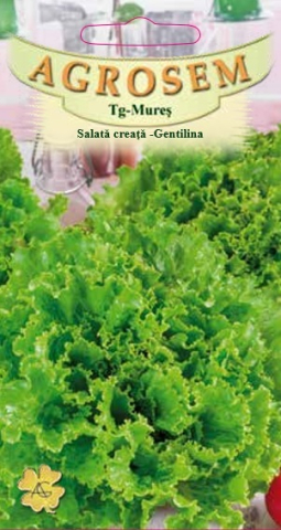 Salata - Salată creață - Gentilina 1.5 g