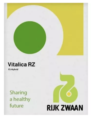 Ardei - Seminte ardei capia Vitalica 100 sem