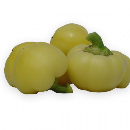 Seminte ardei iute tip mar Alma Paprika 1g - ZKI [2]