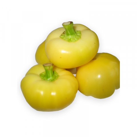 Ardei - Seminte ardei iute tip mar NAGYKUTI  Alma Paprika 110-130 seminte