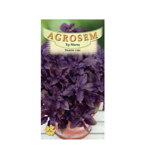 Seminte plante aromatice - Seminte de busuioc rosu Red Basil 0.4gr