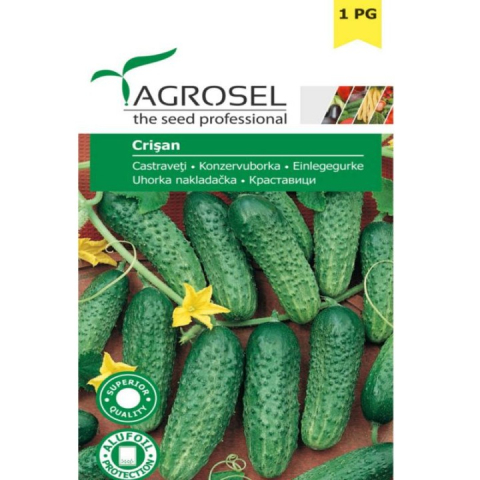 Seminte de legume - Seminte de castraveti CRISAN 1.5g