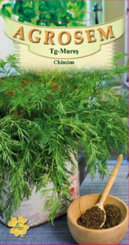 Seminte plante aromatice - Seminte de chimion CARUM CARVI 1g