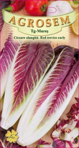 Salata - Seminte de cicoare alungita RED TREVISO 2g