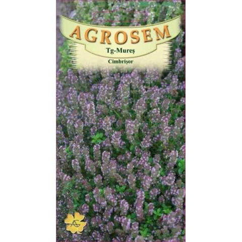 Seminte plante aromatice - Seminte de cimbrisor THYMUS VULGARIS 0.1g