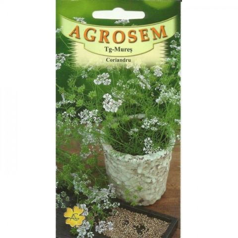 Seminte plante aromatice - Seminte de coriandru 2g