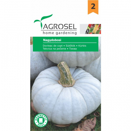 Dovleac - Seminte de dovleac Nagydobosi 3g Agrosel