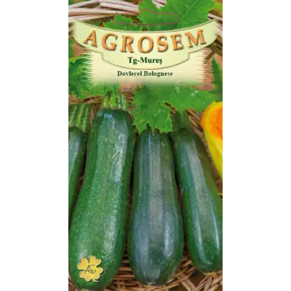 Dovlecel - Seminte de dovlecel Bolognese  2 g