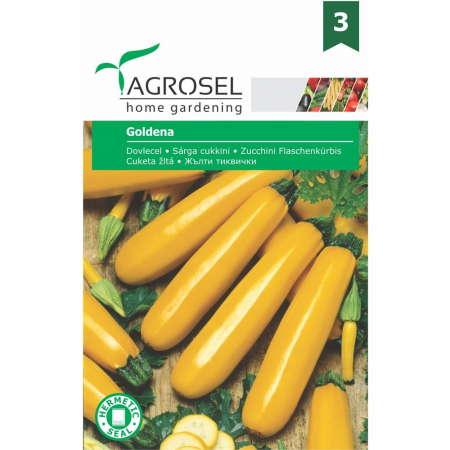 Dovlecel - Seminte de dovlecel Goldena 3 g - Agrosel