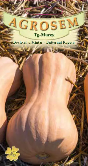 Seminte de legume - SEMINTE DE DOVLECEL PLACINTAR BUTTERNUT RUGOSA 1.5G