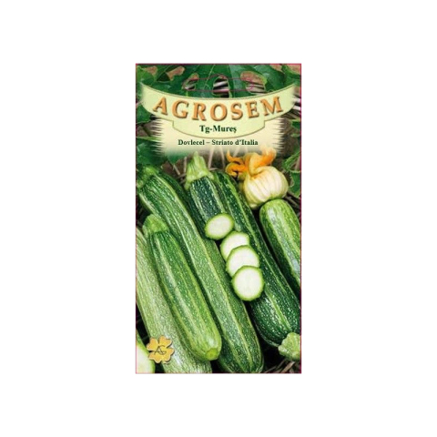 Dovlecel - Seminte de dovlecel Striato D Italia 2 G