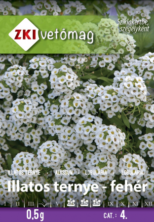 Seminte si bulbi de flori - Seminte de flori Alyssum alb - ZKI