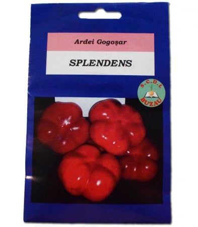 Seminte de legume - Seminte de gogosar Splendens - SCDL Buzau