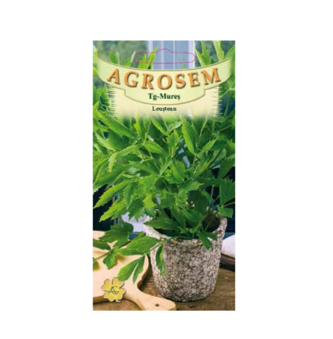 Seminte plante aromatice - Seminte de leustean 0.4g