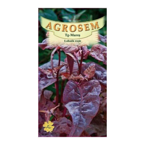 Salata - Seminte de loboda rosie 0.3g
