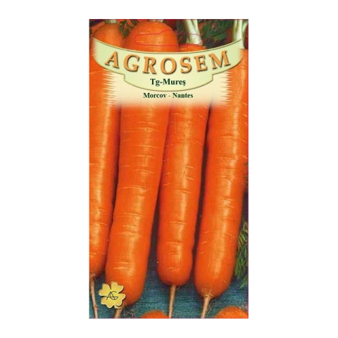 Morcov - Seminte de morcov NANTES 5g