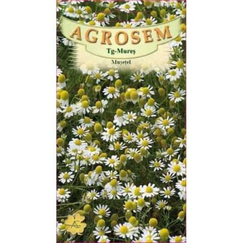 Seminte plante aromatice - Seminte de musetel 0.3g