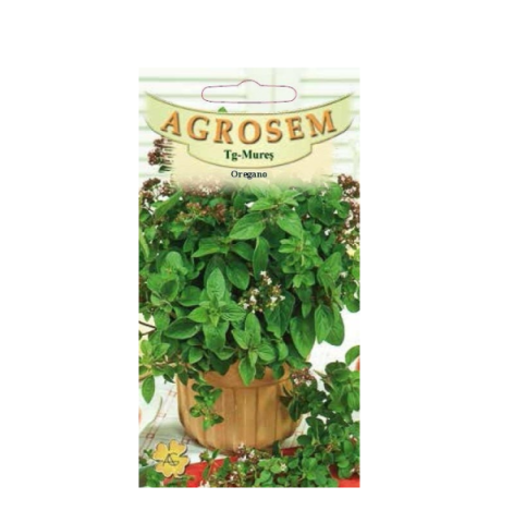 Seminte plante aromatice - Seminte de oregano 0.2g