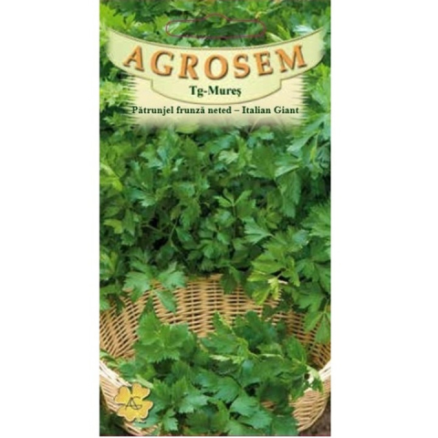 patrunjel - Seminte de patrunjel frunze ITALIAN GIANT 4g