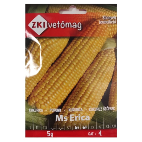 Porumb dulce - Seminte de porumb zaharat MS ERICA 5 G - ZKI