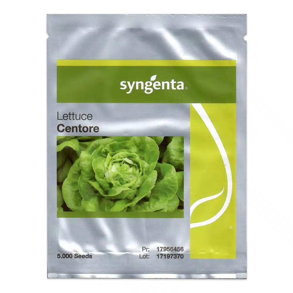 Salata - Seminte de salata Centore, 5000 seminte