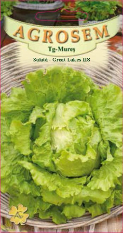 Seminte de legume - Seminte de Salata Great Lakes 118  1.5 g