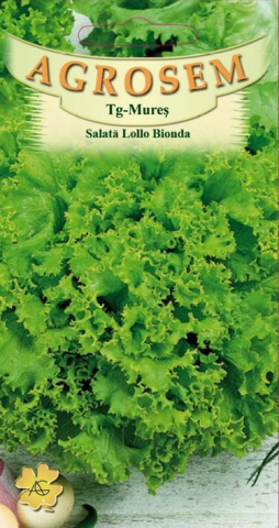 Salata - Seminte de salata LOLLO BIONDA 1.5g
