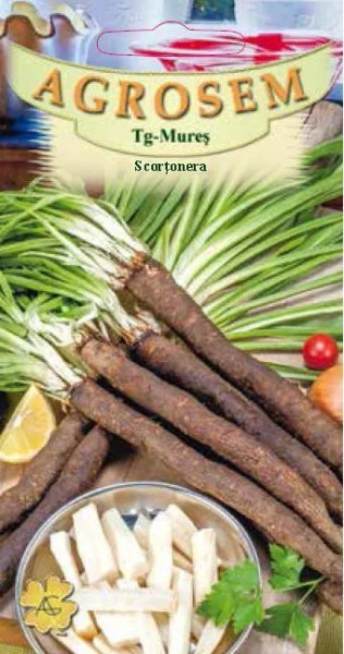 Salata - Seminte de salata scortonera 1g