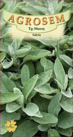 Seminte plante aromatice - Seminte de salvie 0.4g
