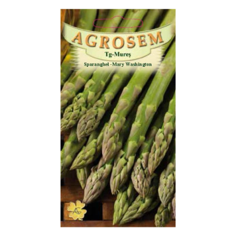 Salata - Seminte de sparanghel MARY WASHINGTON 1g