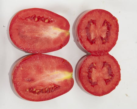 Seminte de tomate Firmus F1 2500 seminte [1]