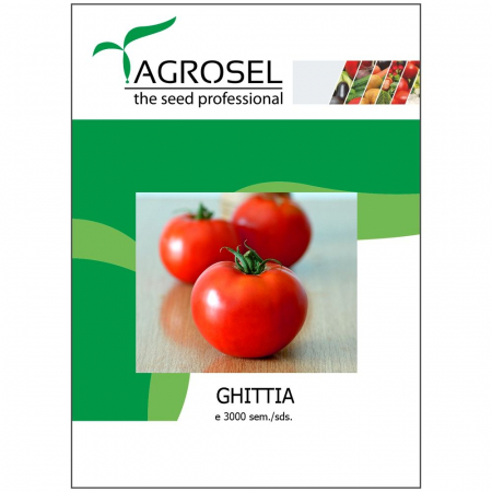 Tomate - Seminte de tomate Ghittia