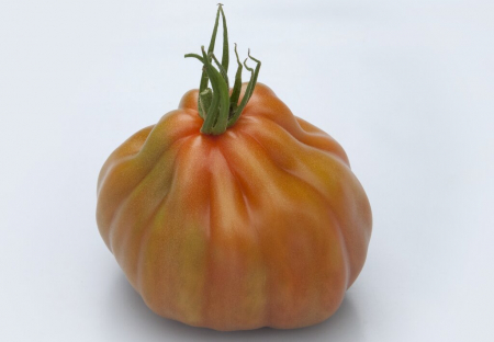 Tomate - Seminte de tomate Gigawak F1 500 seminte