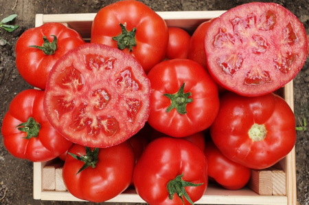 Seminte de tomate Marifet F1 500 seminte [1]