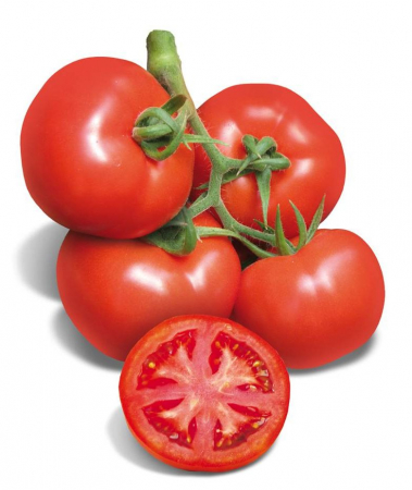Tomate - Semințe de tomate nedeterminate Partova F1