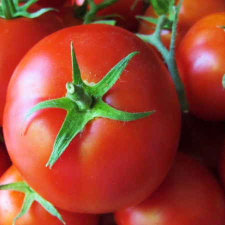 Seminte de tomate Sandoline F1 500 seminte [2]