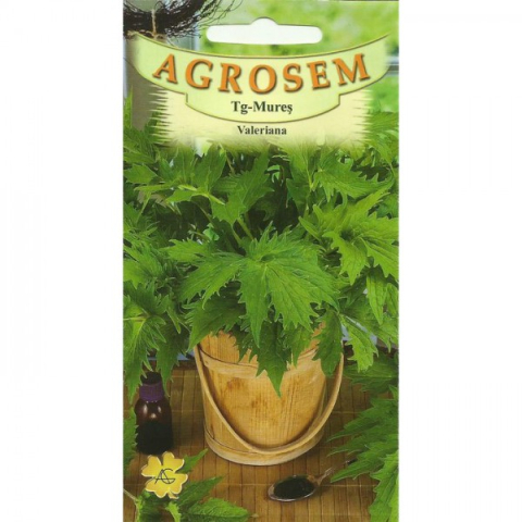 Seminte plante aromatice - Seminte de valeriana 0.1g