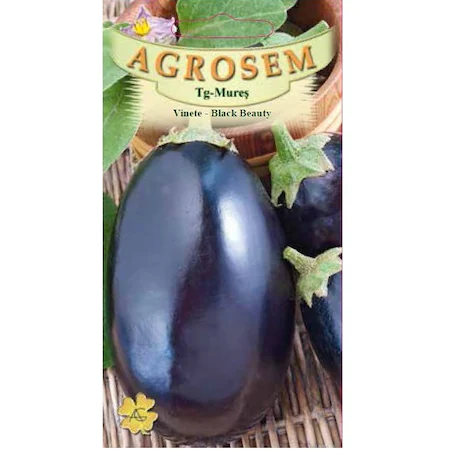 Vinete - Seminte de vinete BLACK BEAUTY 2g