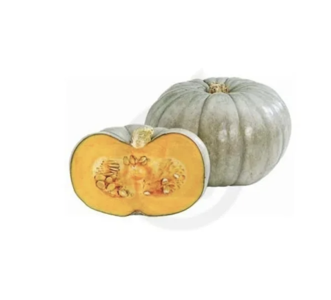 Dovleac - seminte dovleac de copt Nagydobosi 10g