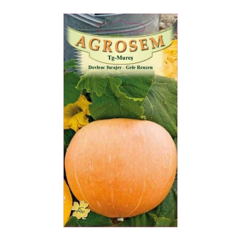 Dovleac - Seminte dovleac furajer GELE REUZEN 1.5g