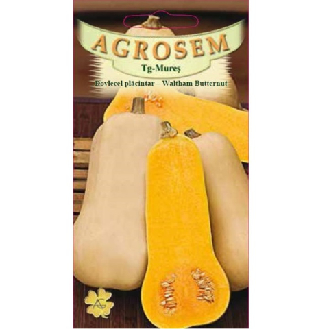 Dovlecel - Seminte dovlecel placintar WALTHAM BUTTERNUT 1.5g