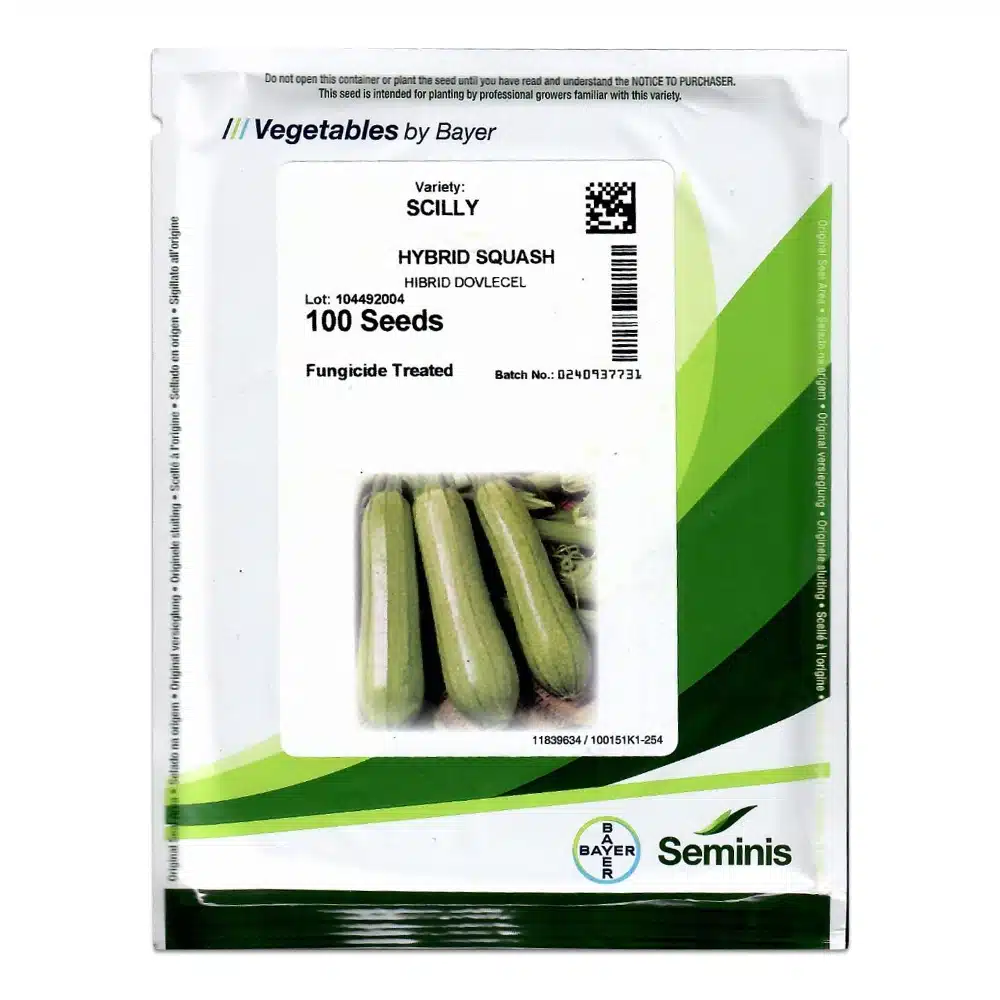 Dovlecel - Seminte dovlecel SCILLY 100 seminte