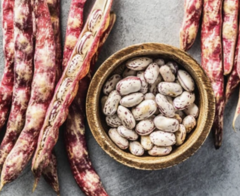 Seminte fasole urcatoare BORLOTTO LAMON 10g [1]