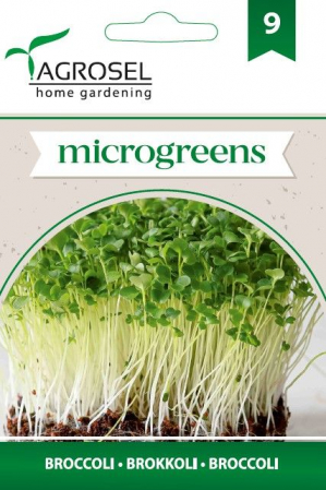 Seminte microgreens - Seminte microgreens broccoli