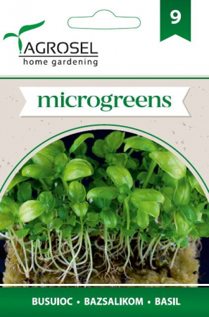 Seminte microgreens - Seminte microgreens busuioc