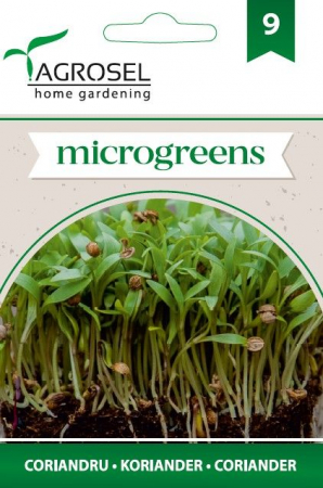 Seminte microgreens - Seminte microgreens coriandru