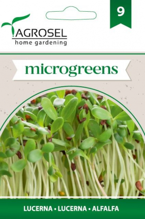 Seminte microgreens - Seminte microgreens lucerna